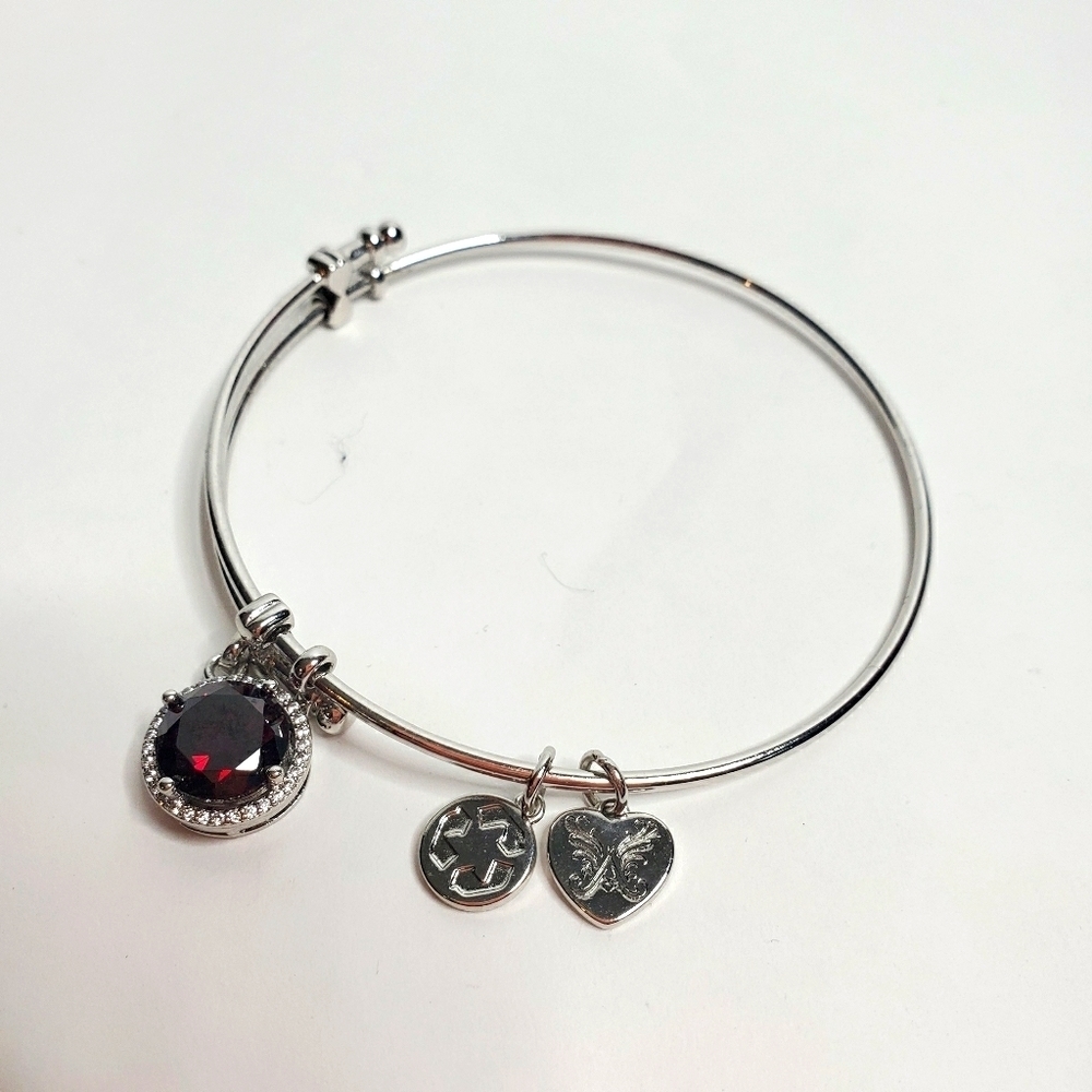 Angelica January Birthstone Bangle